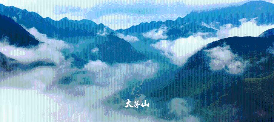 零基础可以报考低压电工证书吗?红迪网-追寻激情、分享快乐的社交平台